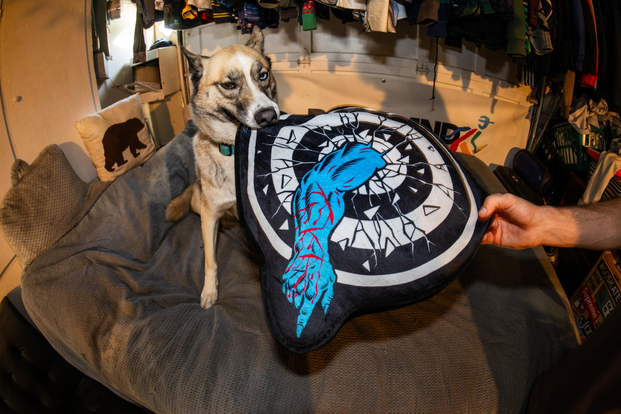 Santa Cruz Roskopp Target Black Pillow