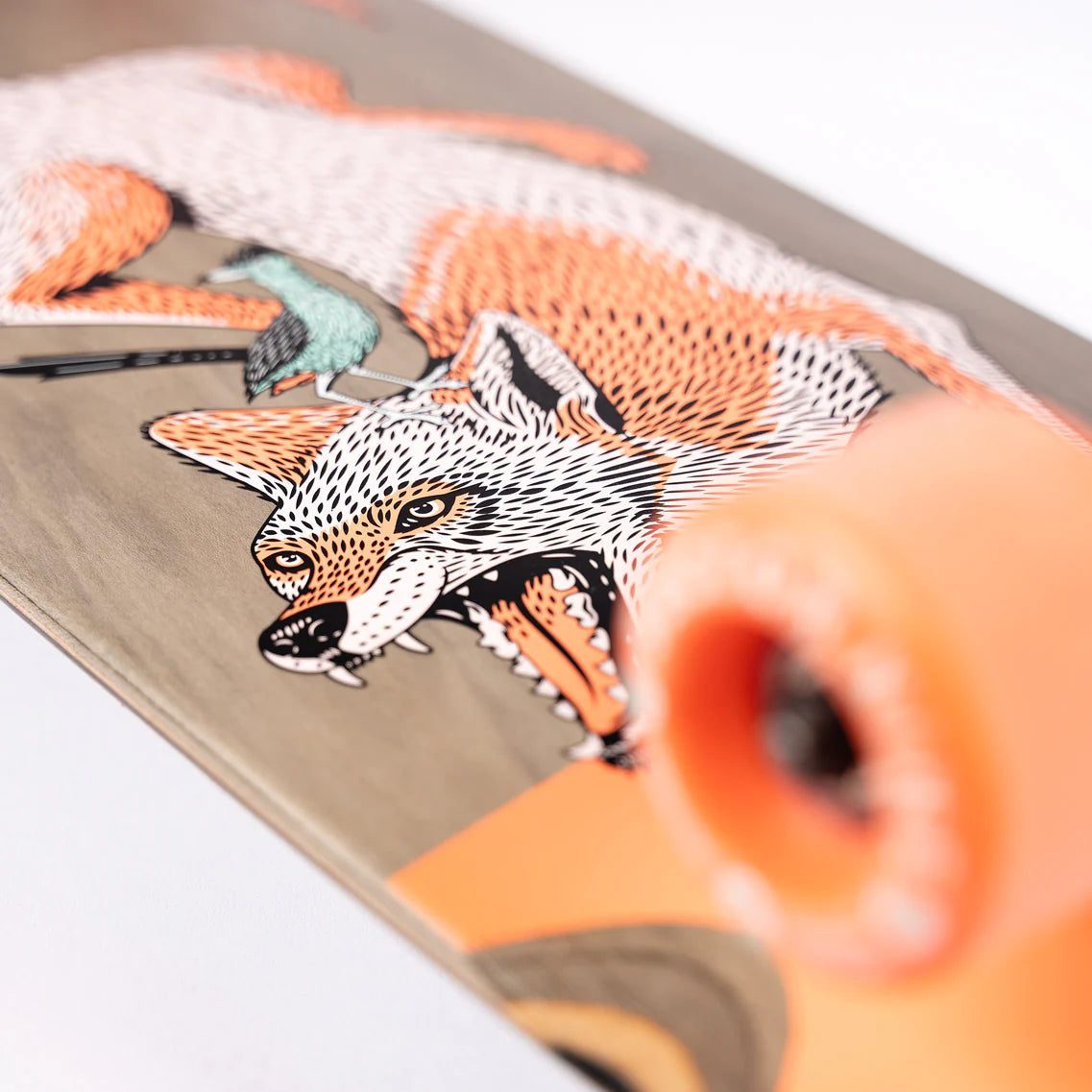 Sector Nine Ditch Witch Coyote 33" x 9.0" Cruiser Complete