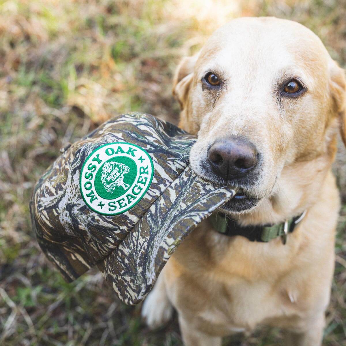 Seager X Mossy Oak Original Treestand Snapback Hat