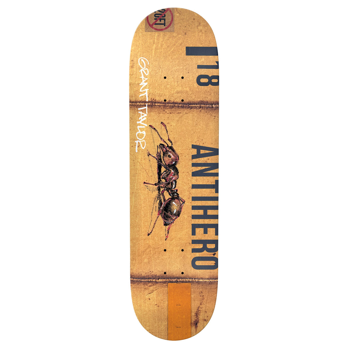 Anti-Hero Taylor Intermodal - 8.32" Multi Skateboard Deck
