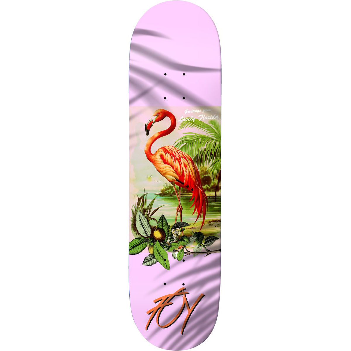 Deathwish Jamie Foy Flamingo 8.0" Skateboard Deck