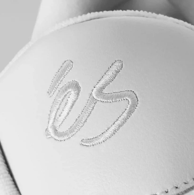 eS Accel White Shoes