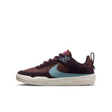 Nike SB Day One Burgundy Ash/Denim Turquoise Youth Shoes