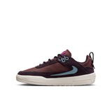 Nike SB Day One Burgundy Ash/Denim Turquoise Youth Shoes