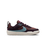 Nike SB Day One Burgundy Ash/Denim Turquoise Youth Shoes