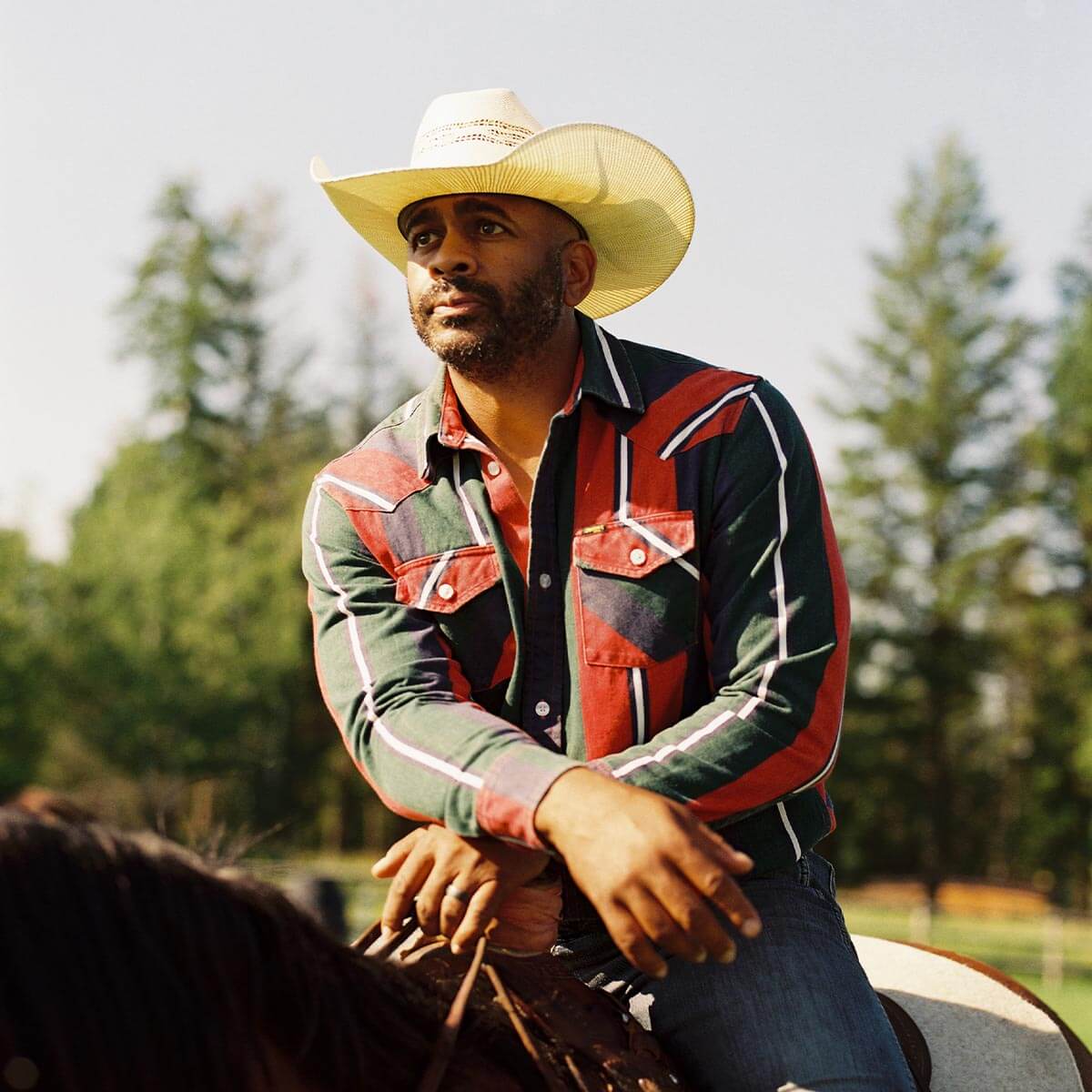 Seager Amarillo Mattson Stripe Button Up L/s Shirt