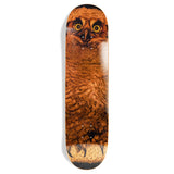 Jacuzzi Michael Pulizzi Hoo EX7 8.375" Skateboard Deck