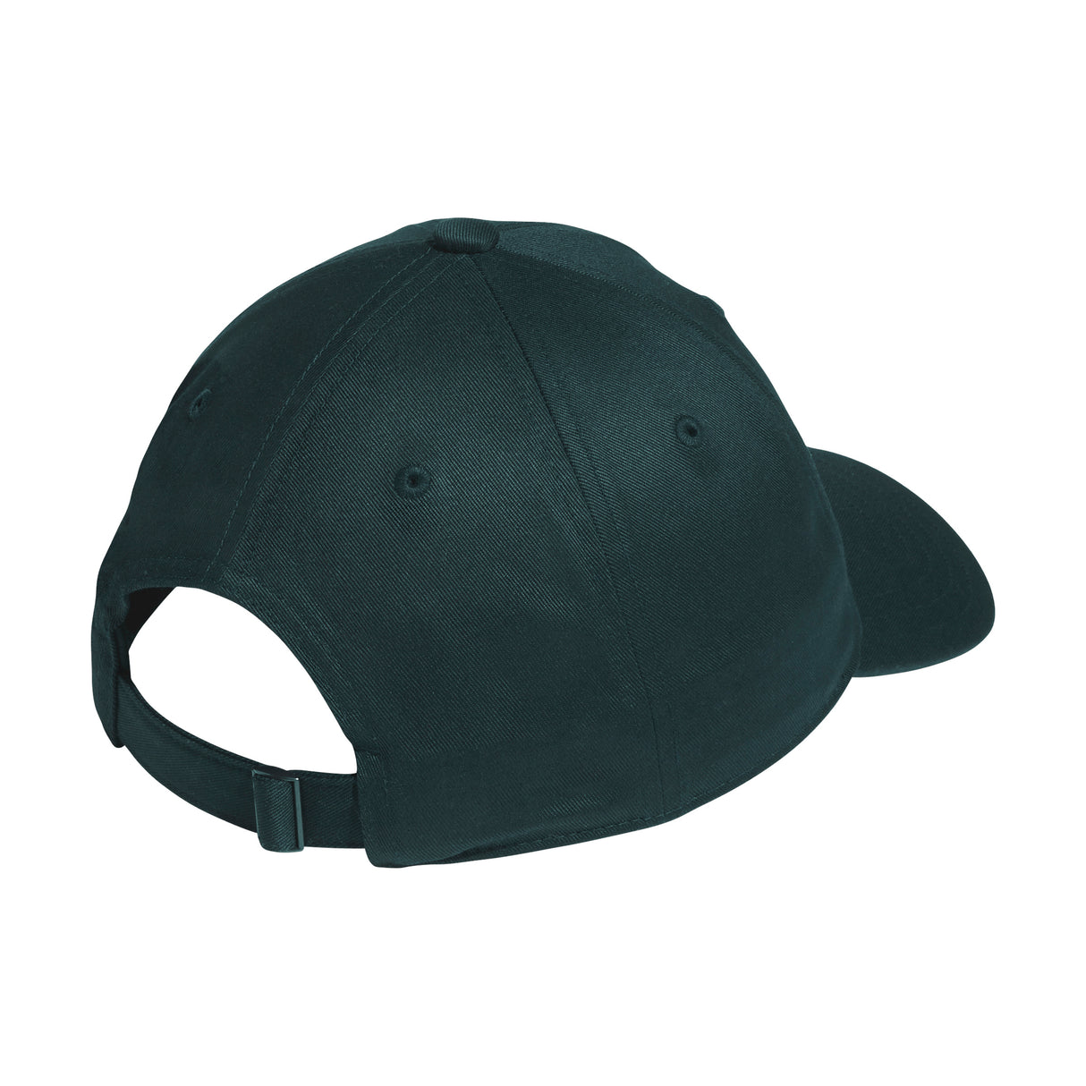Adidas Skateboarding x Gonz Shmoofoil Aurora Ivy 6 Panel Strapback Hat