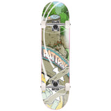 Push Jon Horner Guest Artist Multi 8.25" Complete Skateboard