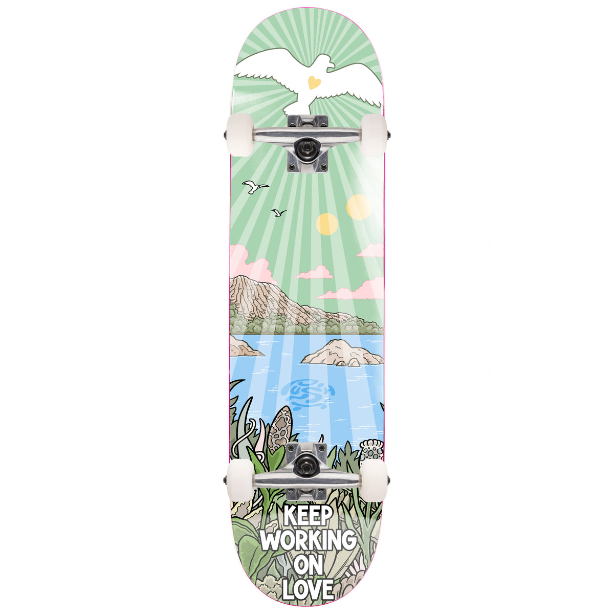 Push John Rattray Guest Pro Multi 8" Complete Skateboard