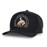 Sendero Never Was A Horse Black 5-Panel Unstructured Snapback Hat