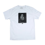 Theories King Tut White S/s Shirt