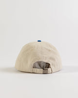 Rusty Kick Flip Magazine Blue Dad Cap