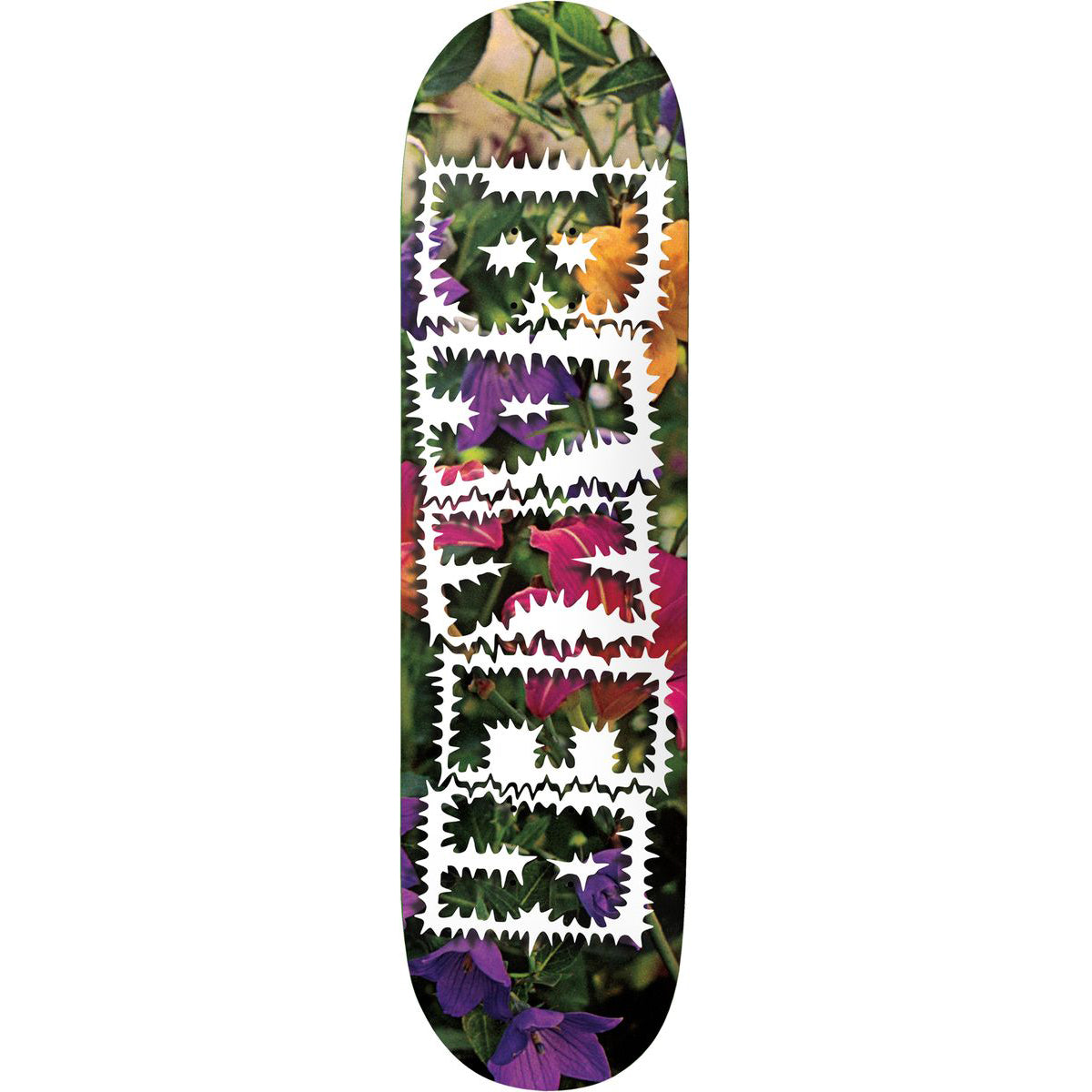 Baker Andrew Reynolds Library Card 8.0" Skateboard Deck